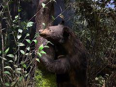 -陕西自然博物馆