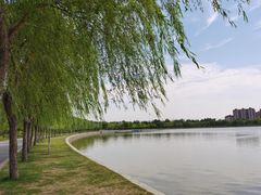 -象湖生态湿地公园