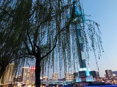 -聚龙湖公园