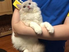 -芭比堂动物医院·犬猫全科·异宠专科(雁塔分院)