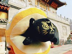 -西安大兴善寺