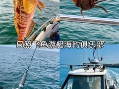 -日照海滨国家森林公园