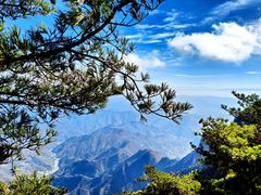 -秦岭天竺山生态文化旅游景区