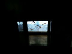 -汉唐宴长安食府