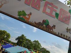 -上海长兴岛郊野公园