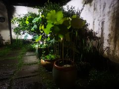 -院子餐厅·大锅菜·老杭帮(桥西直街店)
