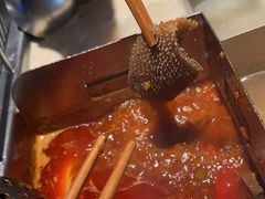 -海底捞大排档火锅(悦荟广场店)