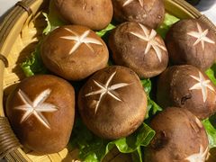 鲜香菇-狐狸爱上椰子鸡(滨江星光大道店)