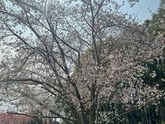 -凤凰沟景区
