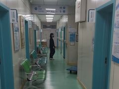 -北京观赏动物医院·24小时大型综合·猫专科·异宠专科
