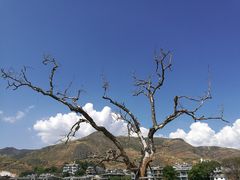 -南诏风情岛