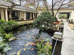-寻味顺德·顺峰山庄(大良店)