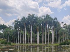 -中国科学院西双版纳热带植物园