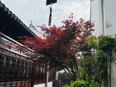 -檀园
