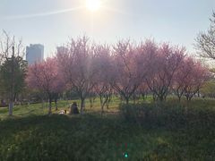 -白塘生态植物园