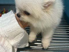 -凤凰汇购物中心