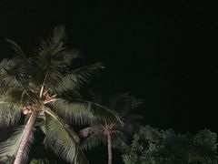 大堂-Naughty Nuri’s Phuket