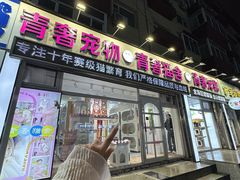 -青奢宠物·青奢猫舍