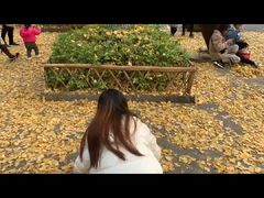 -黄桷坪涂鸦艺术街