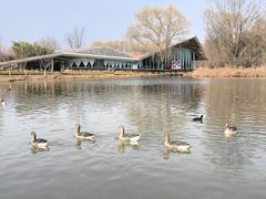 -西安浐灞国家湿地公园