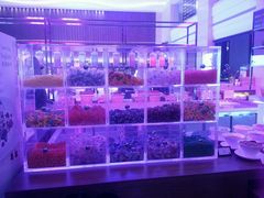 android_upload_pic-新发展亚太JW万豪酒店·福苑咖啡厅
