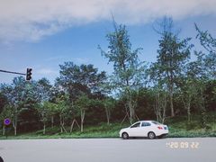 -白鹭湾湿地公园