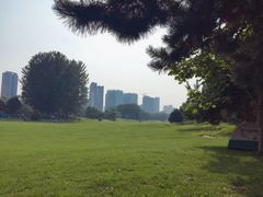 -长白岛森林公园