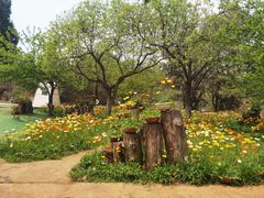 -名花谷生态庄园