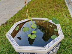 -曼谷国家博物馆