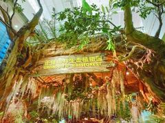 -正佳雨林生态植物园