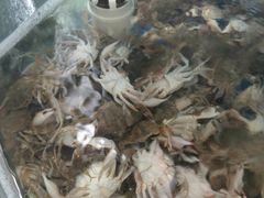 -晓伟海鲜家常菜