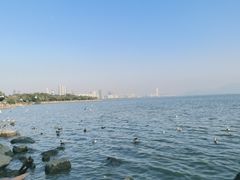 -深圳湾公园(南山区)