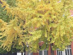 -四川大学(望江校区)
