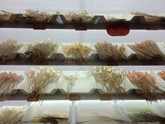 -牛华八婆麻辣烫(龙湖U城店)