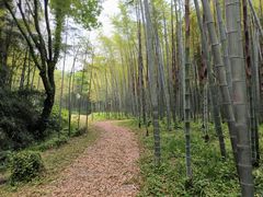 -采石矶景区