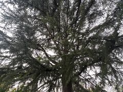-北京石刻艺术博物馆(五塔寺)