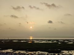 -南汇嘴观海公园