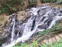 -莫里热带雨林景区