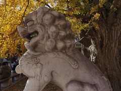 -北京石刻艺术博物馆(五塔寺)