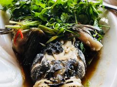 -樂天皇朝(怡丰城店)