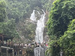 -鼎湖山风景区