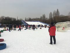 -紫竹院公园冰场