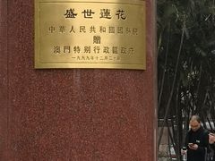 -金莲花广场