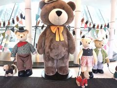 -济州岛泰迪熊博物馆