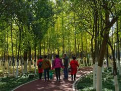 -艾溪湖湿地公园