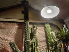 -HIHE Bistro·Oyster Bar(华熙live店)