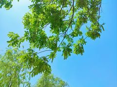 -大叔家福鼎小吃(十全街店)