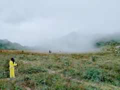 -白草畔自然风景区