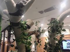 -袖虎·猫馆(体育西路店)