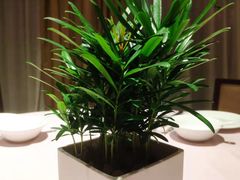 -桃源春晓中餐厅 TaoYuan Restaurant